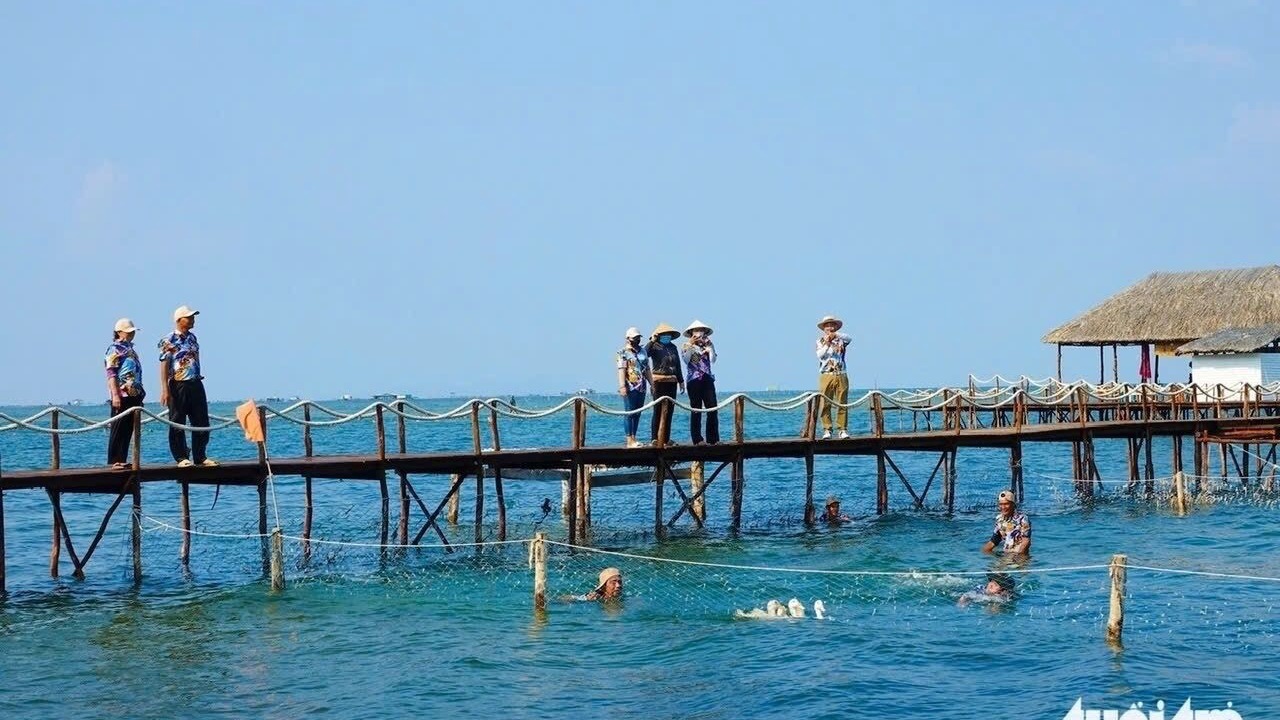 Photo of Others in Ham Ninh