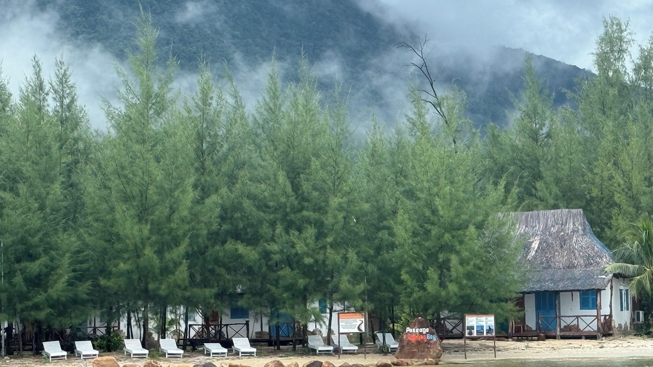 Photo of Others in Ham Ninh