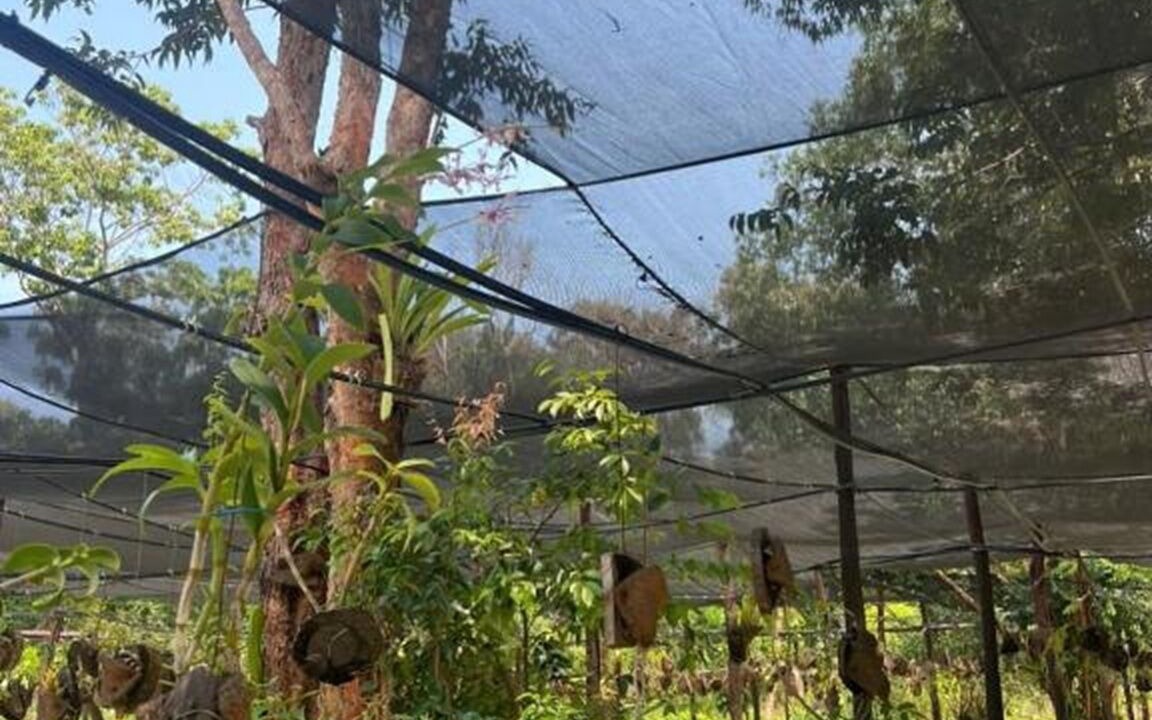 Photo of Patio Balcony in Ham Ninh
