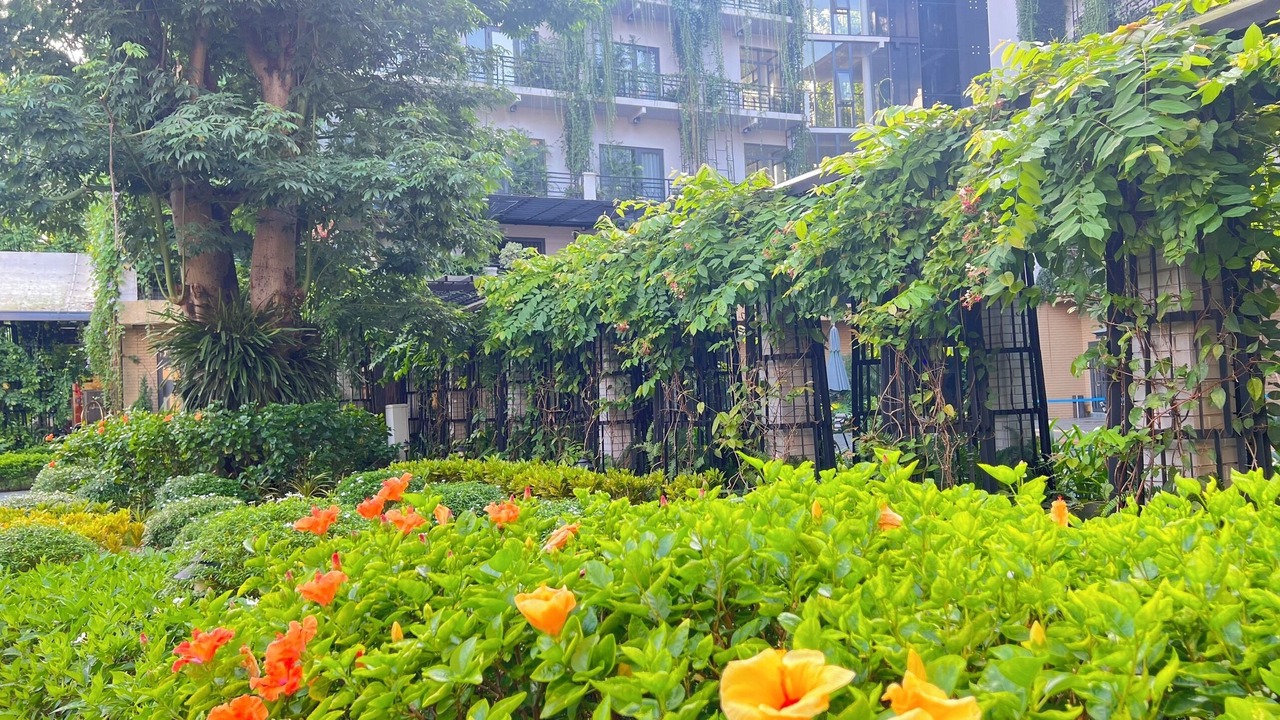 Photo of Outdoor in Thai Nguyen