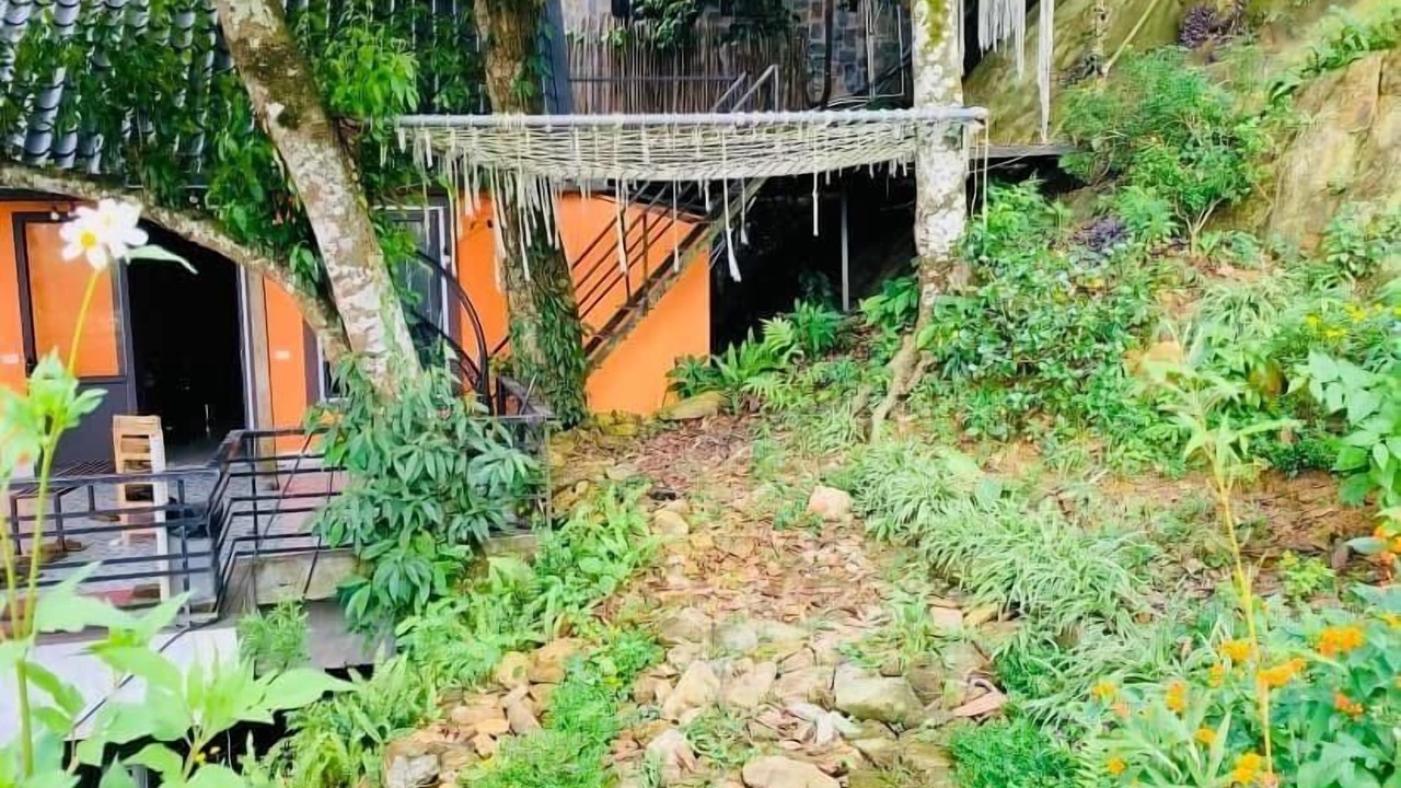 Photo of Outdoor in Tam Dao