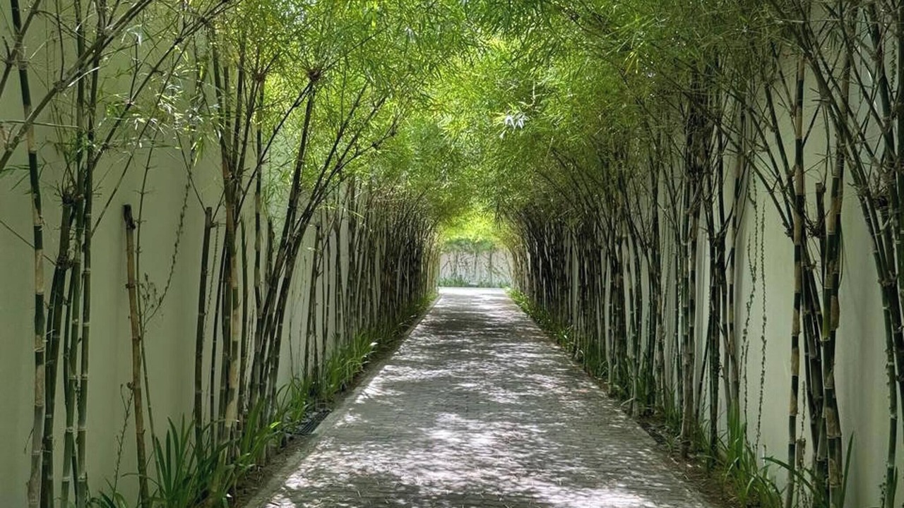 Photo of Outdoor in Ganh Dau