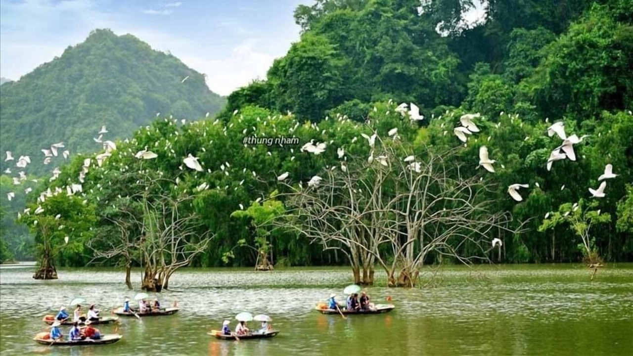 Photo of Others in Hoa Lu