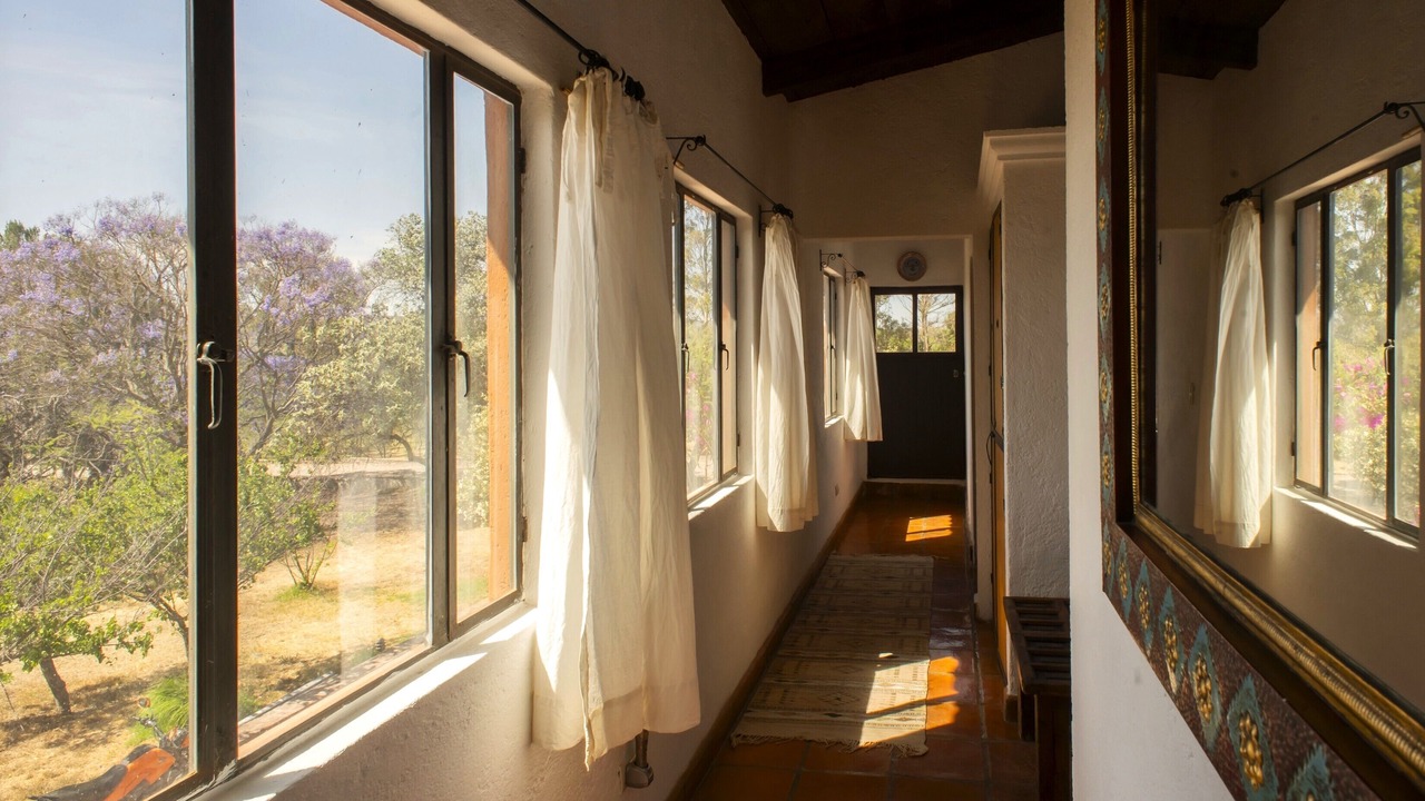 Photo of Others in San Miguel de Allende