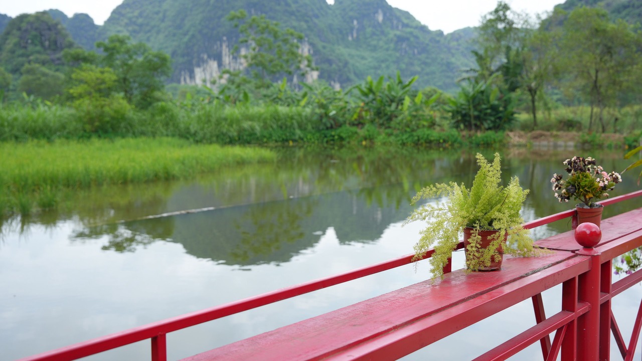 Photo of Others in Hoa Lu