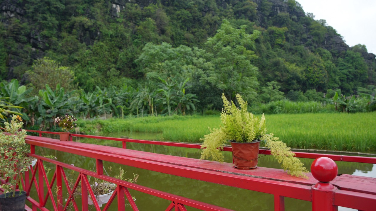 Photo of Outdoor in Hoa Lu