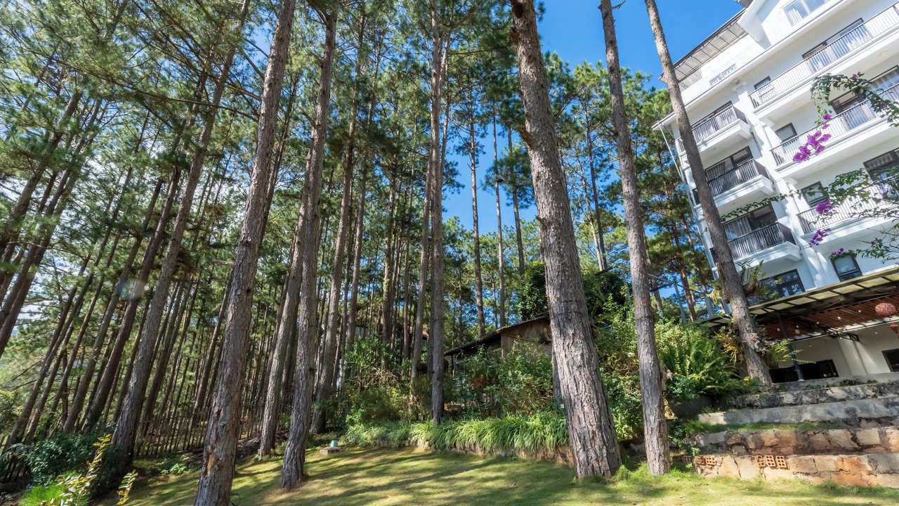 Photo of Patio Balcony in Da Lat