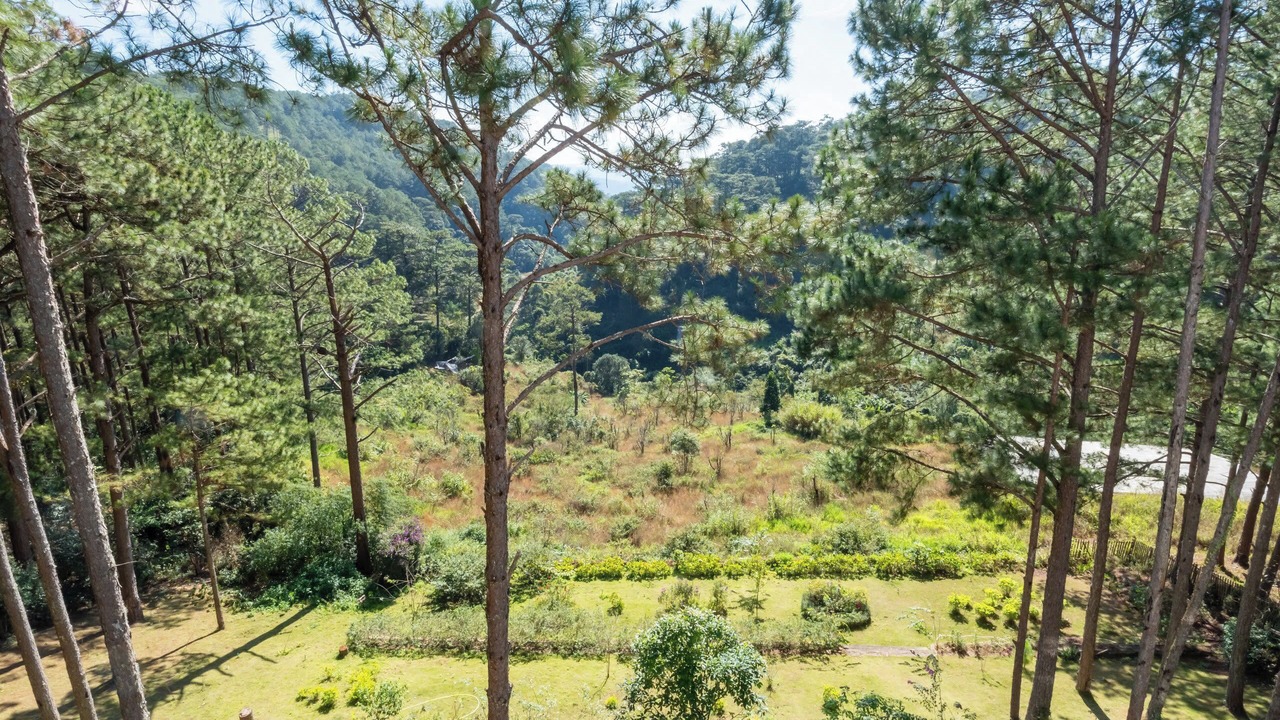 Photo of Livingroom in Da Lat