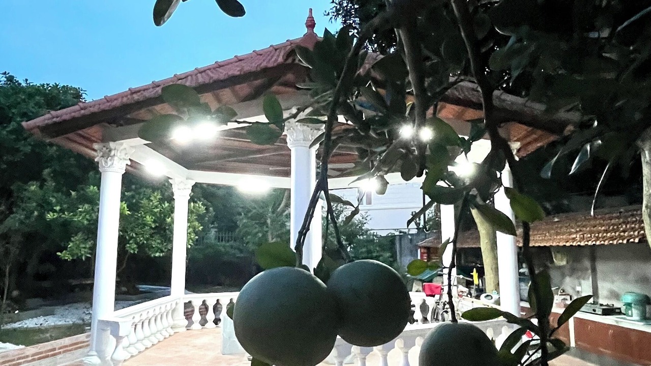 Photo of Outdoor in Vinh Yen