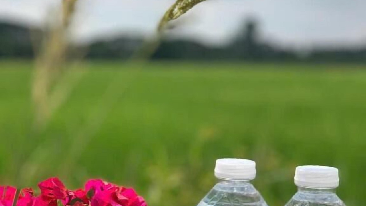 Photo of Outdoor in An Phu
