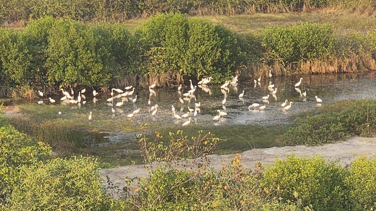 Photo of Outdoor in Ho Tram
