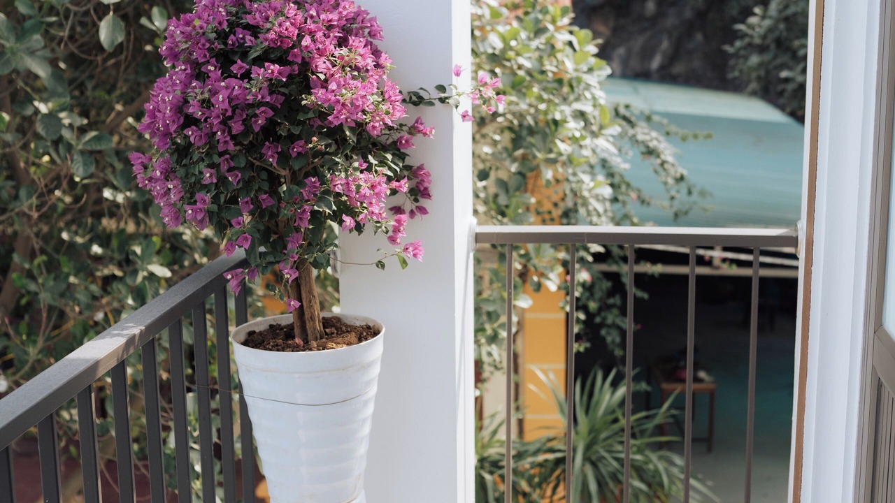 Photo of Patio Balcony in Hoa Lu