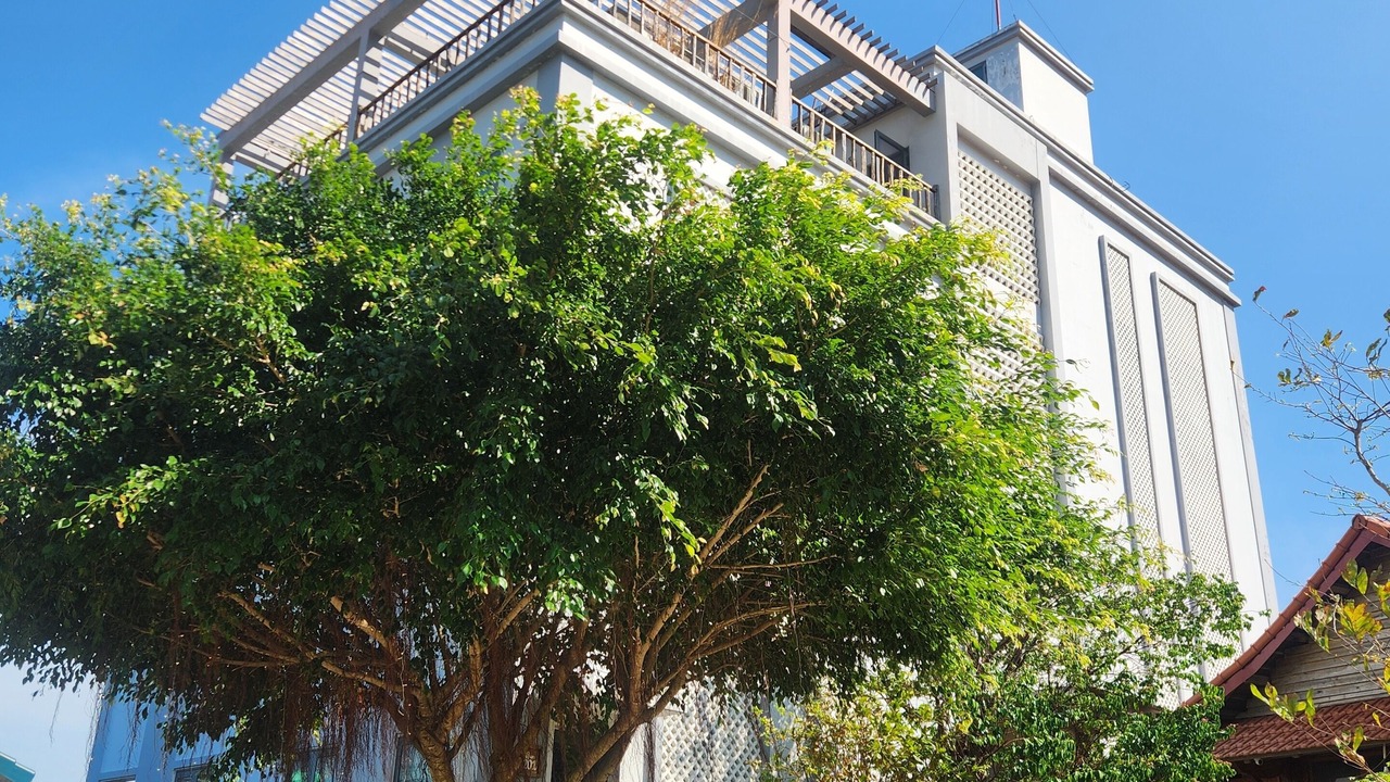 Photo of Outdoor in Ham Ninh