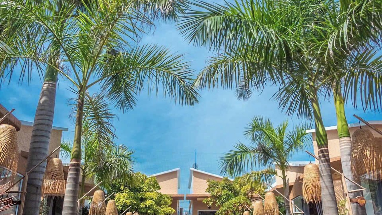 Photo of Outdoor in Mui Ne