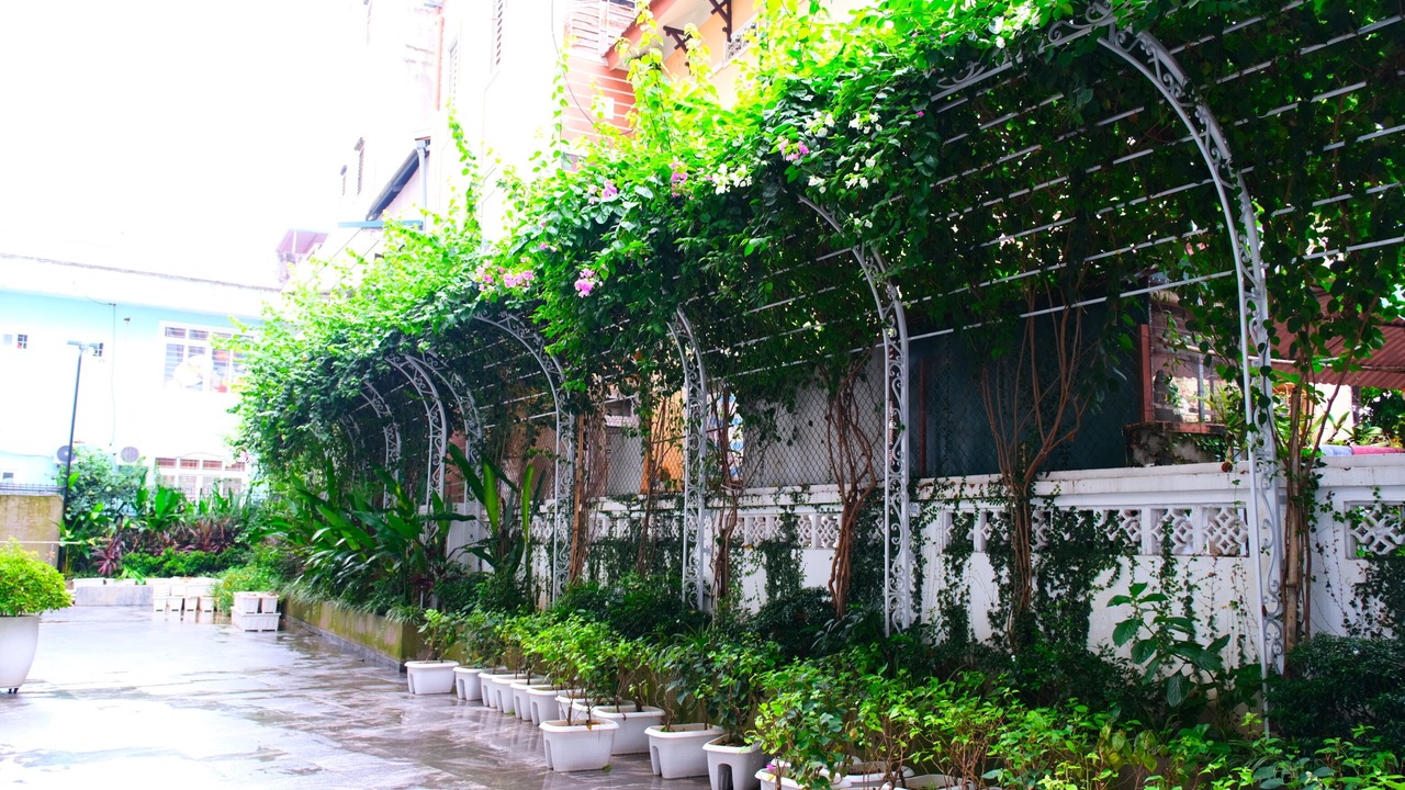 Photo of Outdoor in Cao Bang
