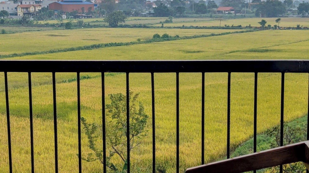 Photo of Outdoor in Hoa Lu