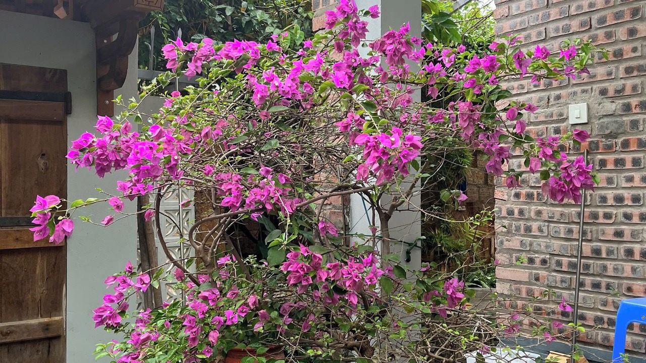 Photo of Outdoor in Son Tay