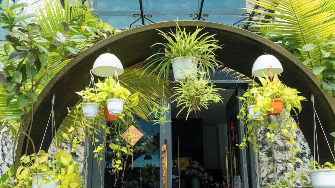 Photo of Outdoor in Bien Hoa