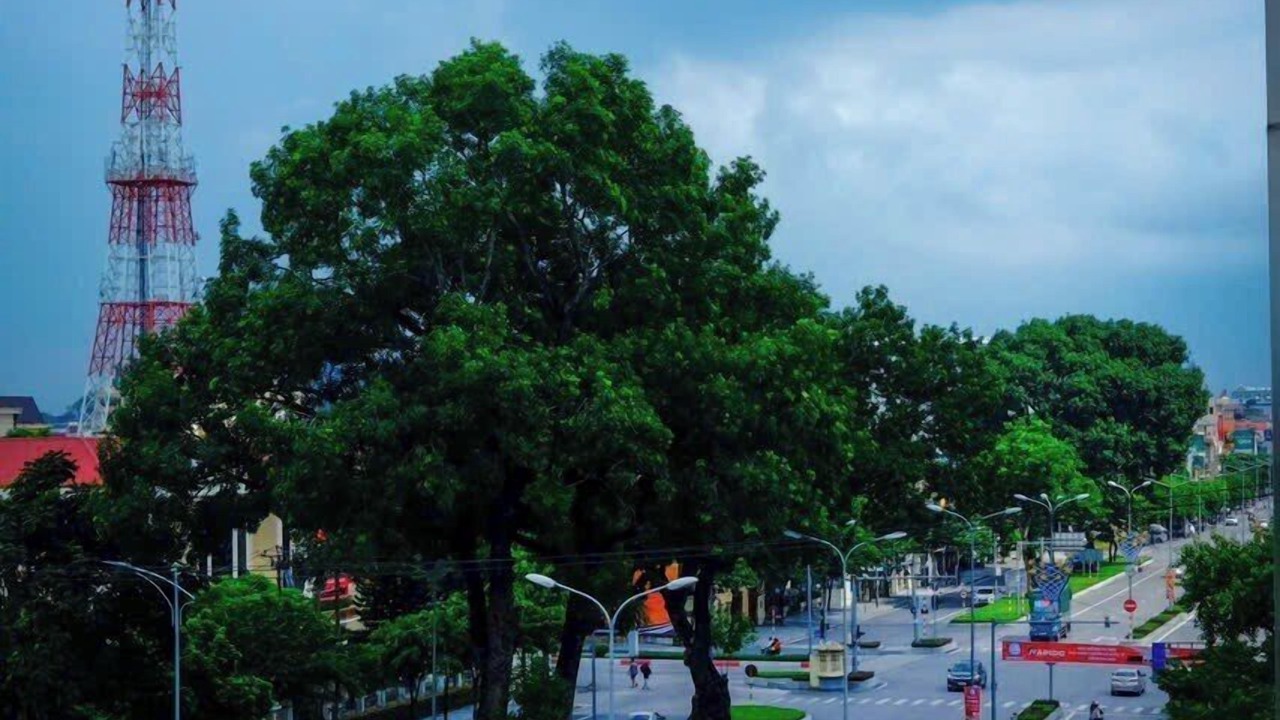 Photo of Others in Ninh Binh
