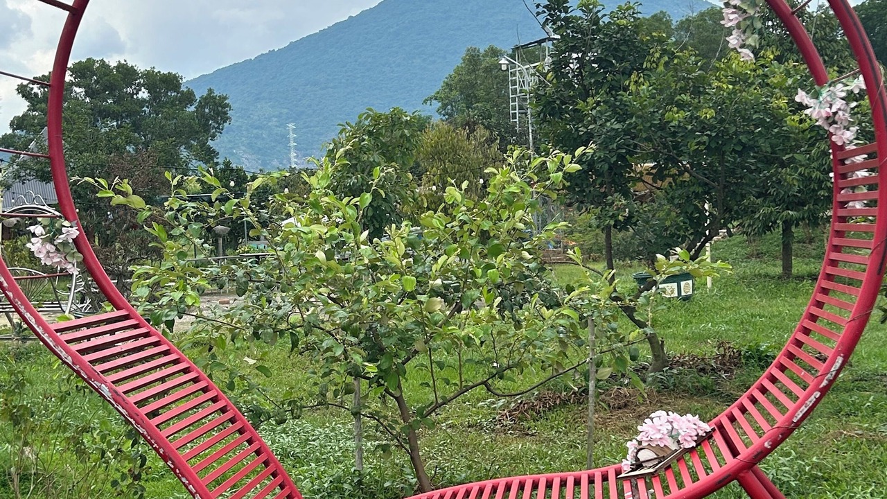 Photo of Outdoor in Hiep Ninh