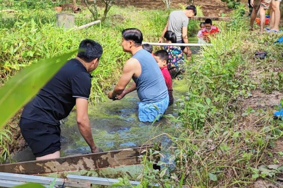 Photo of Others in Chau Thanh