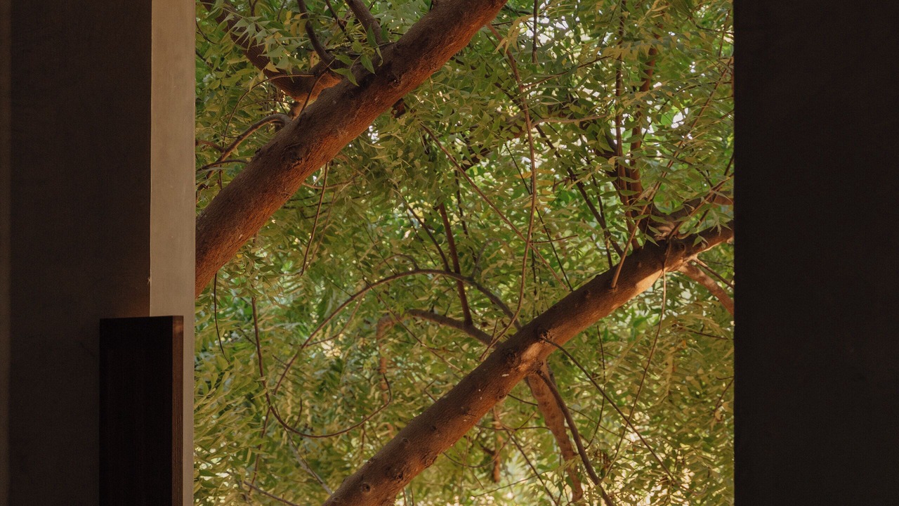 Photo of Outdoor in Los Tamarindos