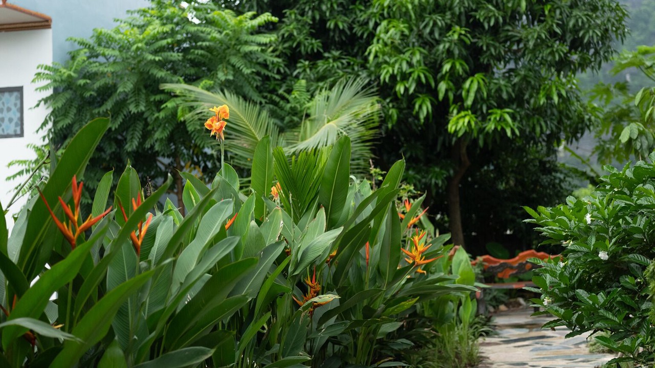 Photo of Outdoor in Hoa Lu