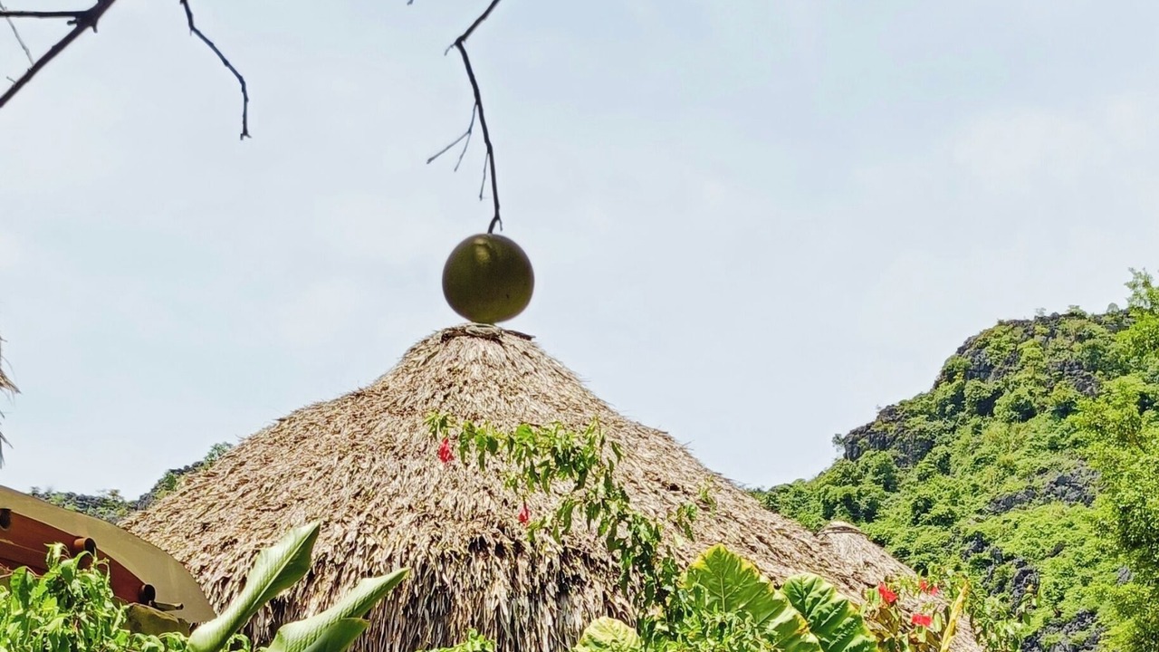 Photo of Outdoor in Hoa Lu