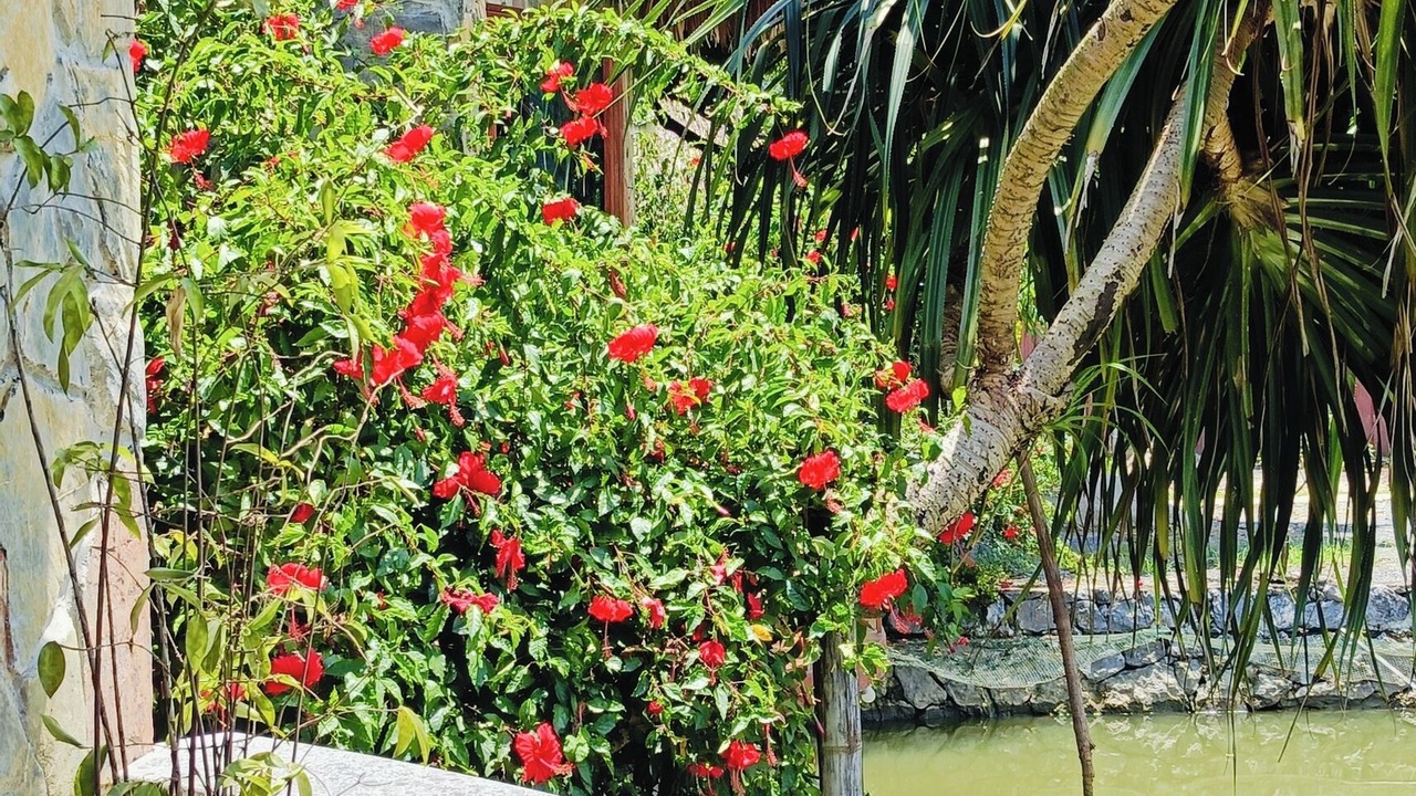 Photo of Outdoor in Hoa Lu