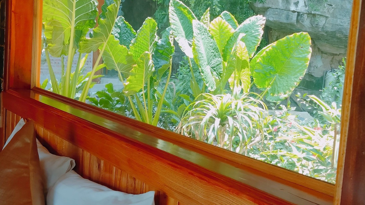 Photo of Outdoor in Hoa Lu