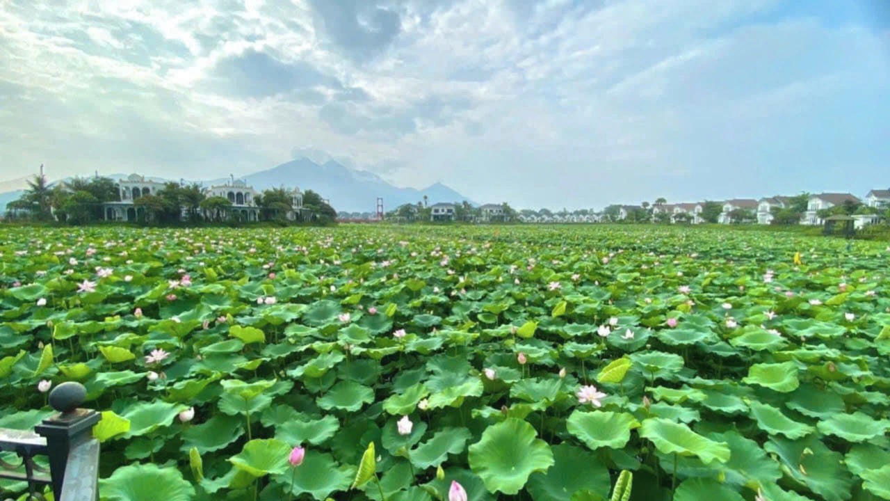 Photo of Outdoor in Thanh Thuy