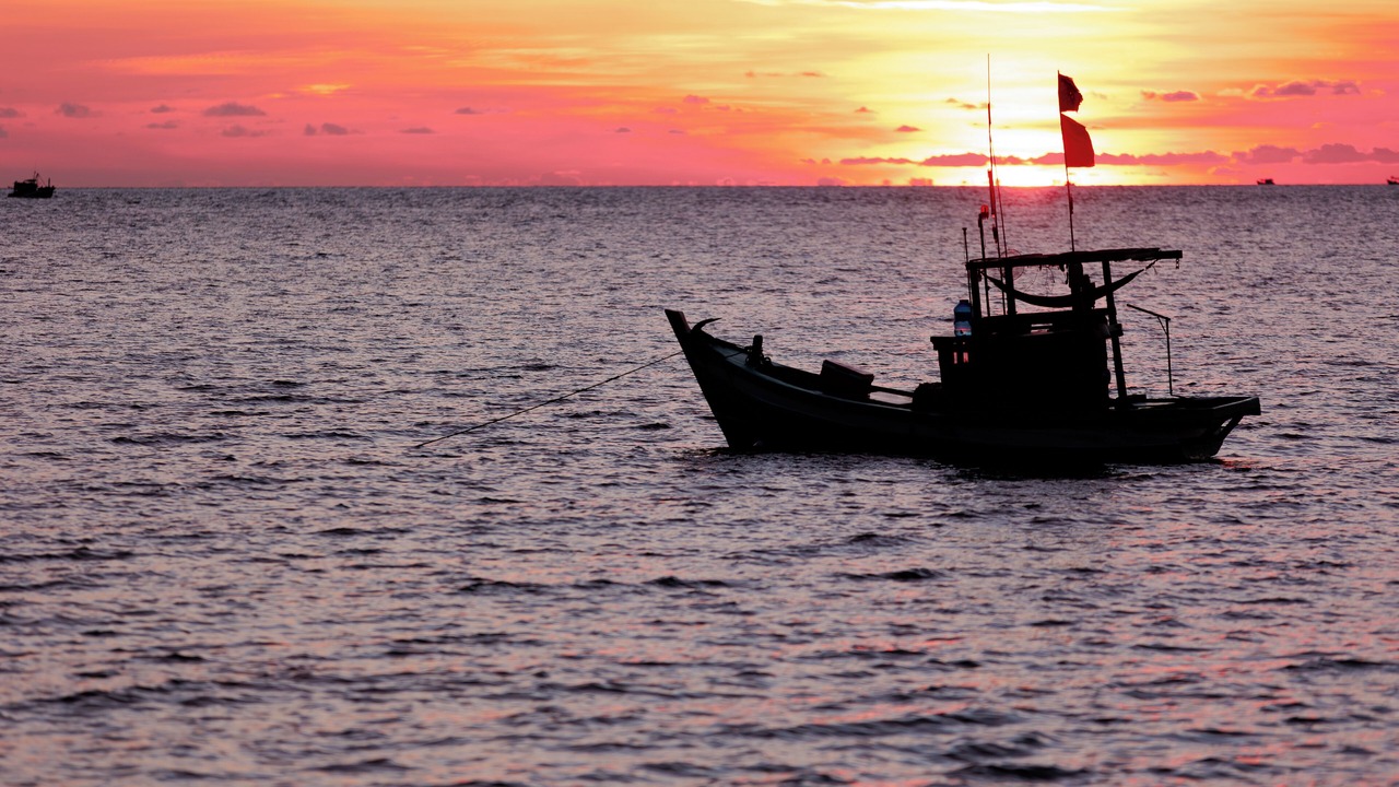 Photo of Others in Ham Ninh