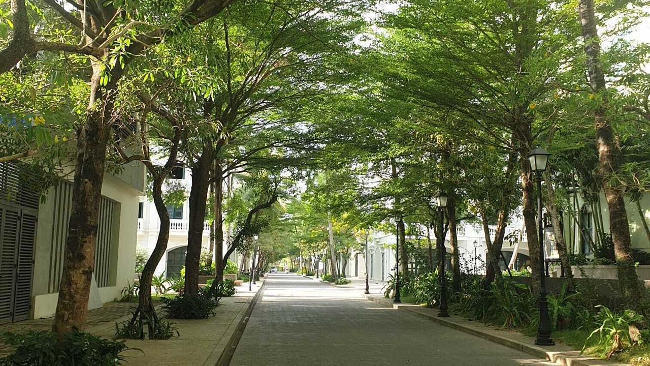 Photo of Outdoor in Duong To