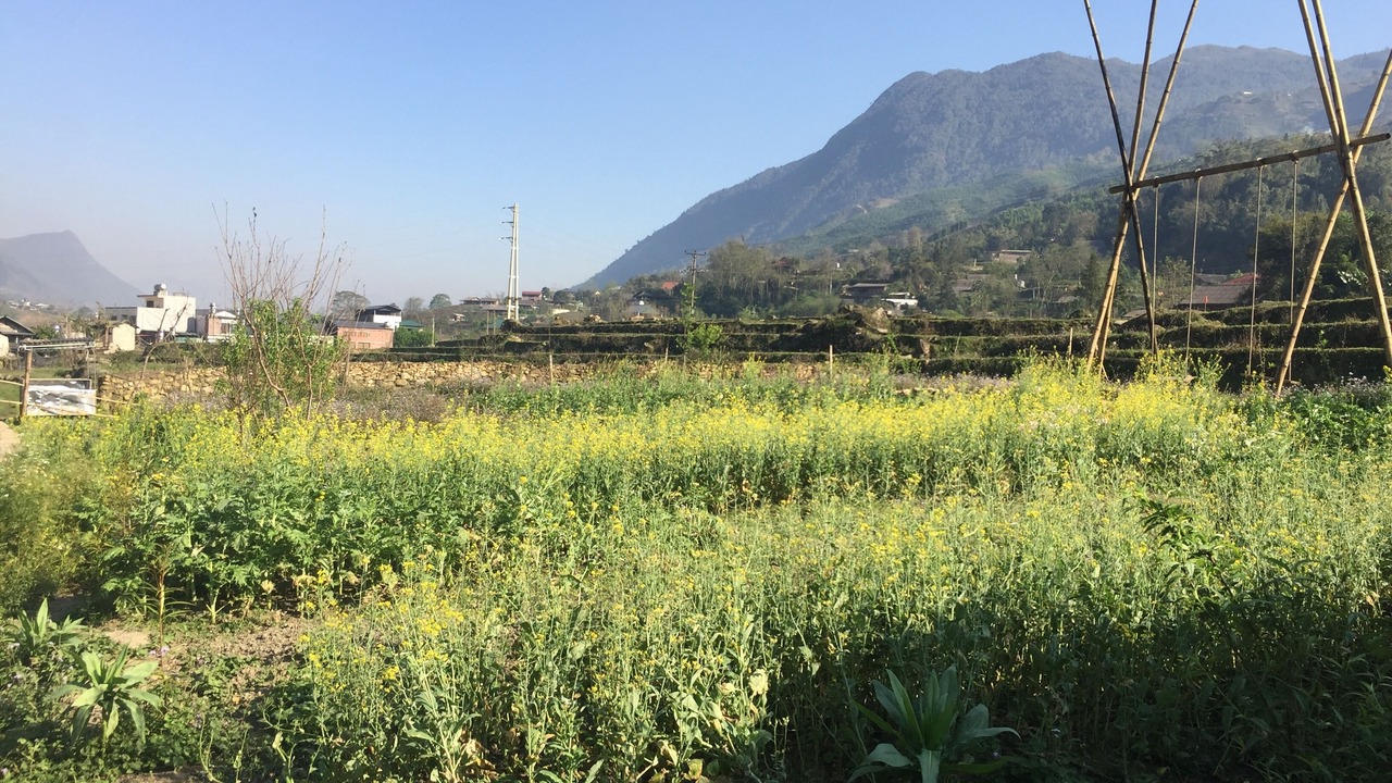 Photo of Outdoor in Sa Pa