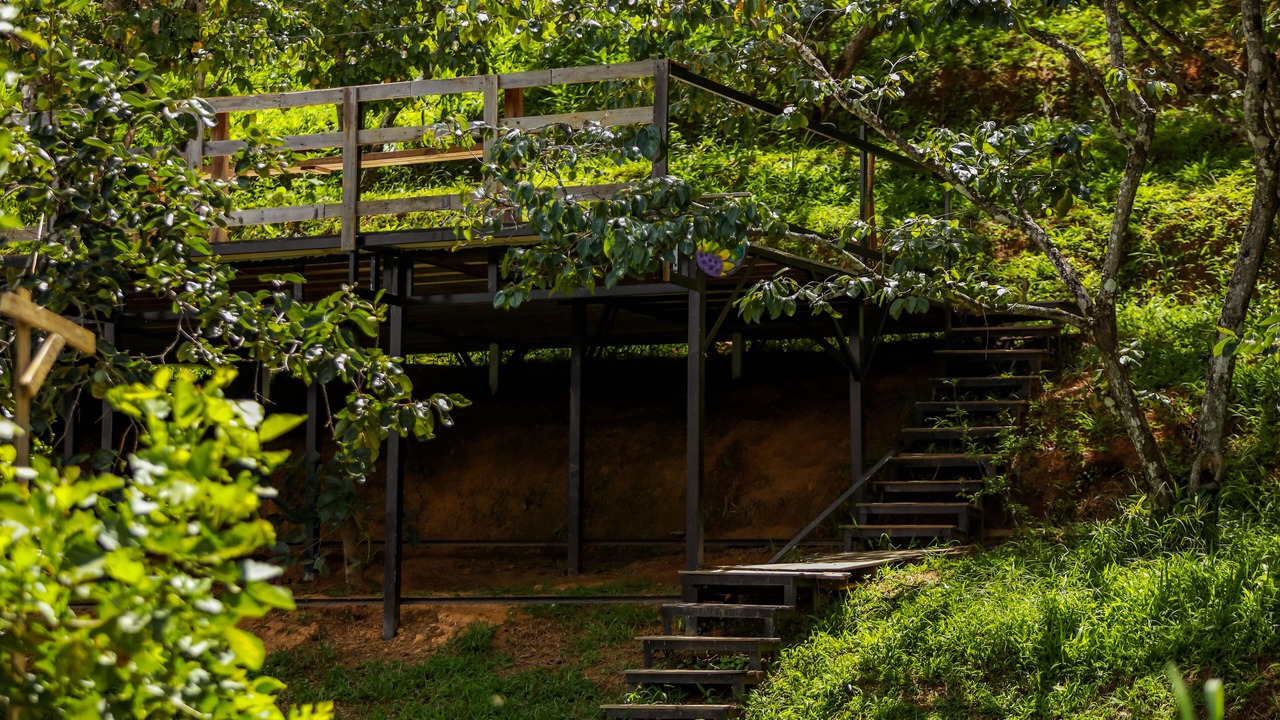 Photo of Outdoor in Don Duong