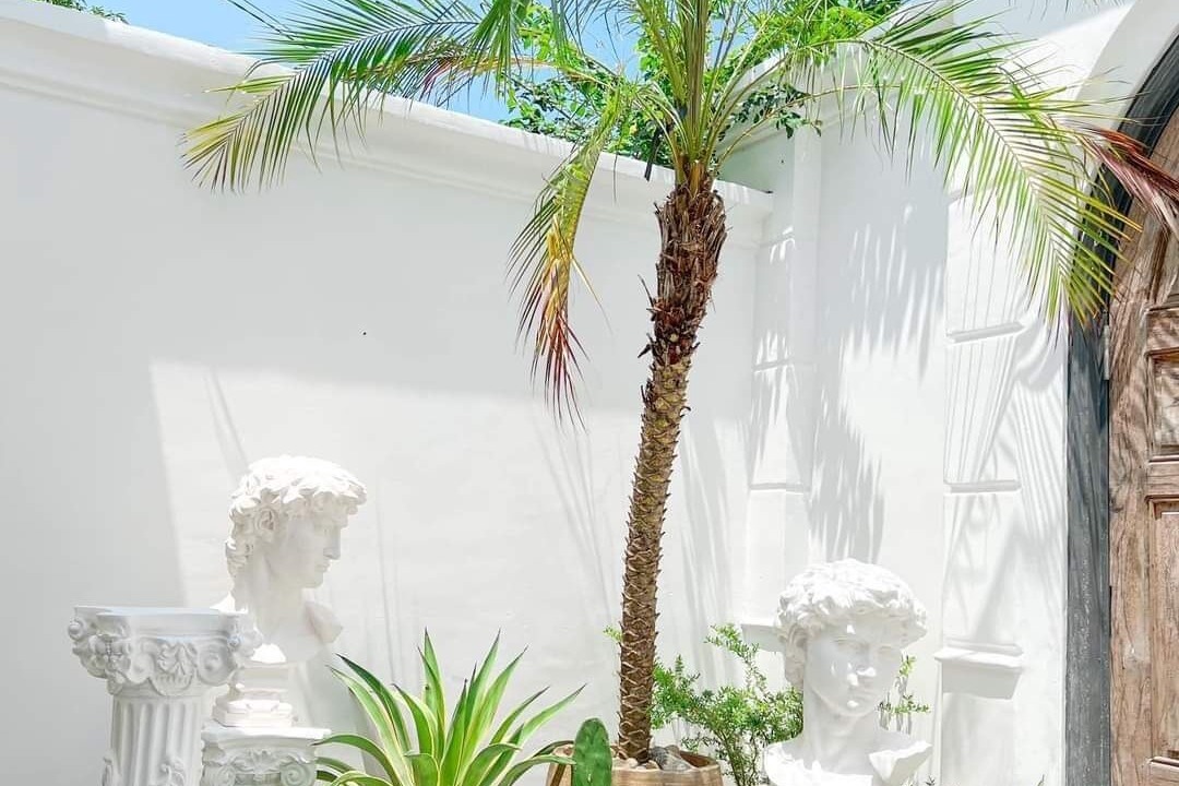 Photo of Outdoor in Tay Ninh