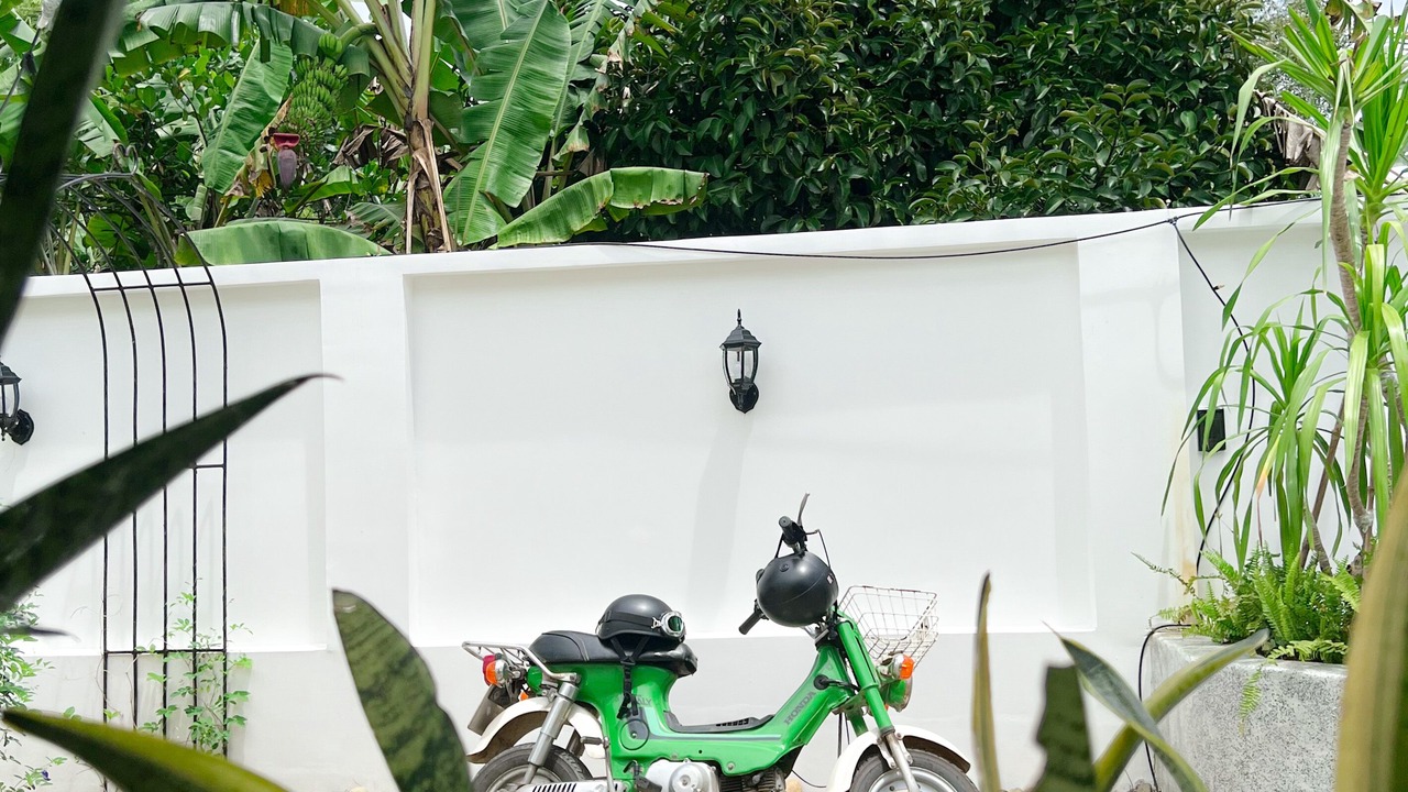 Photo of Outdoor in Tay Ninh