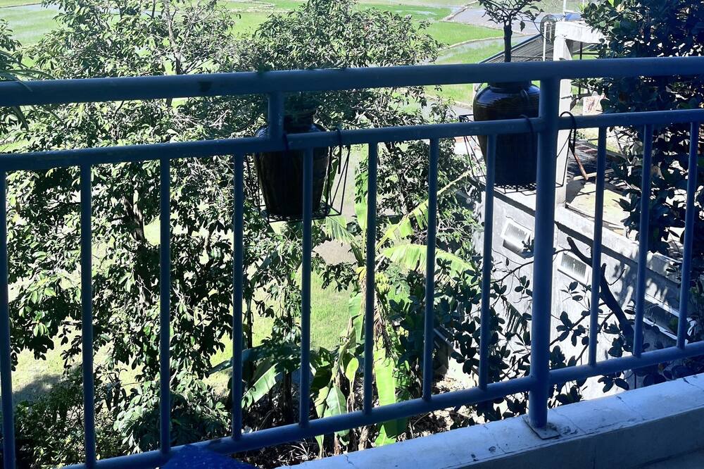 Photo of Outdoor in Lien Son