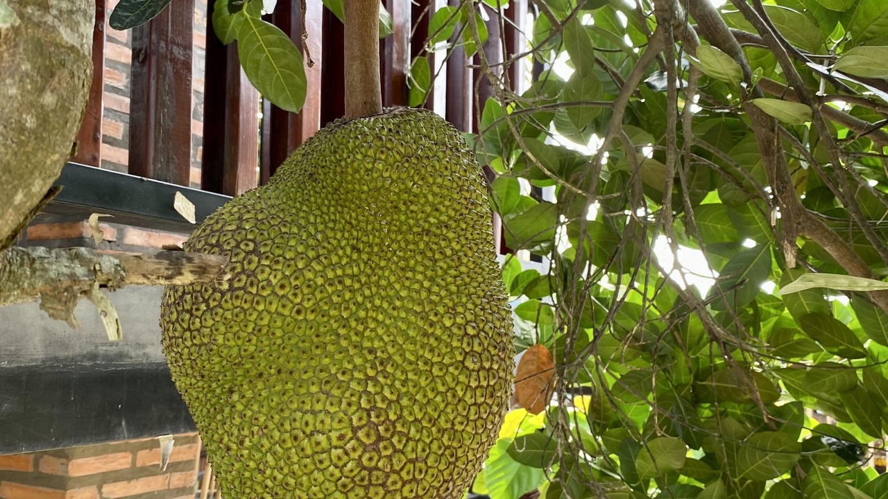 Photo of Outdoor in Chau Thanh