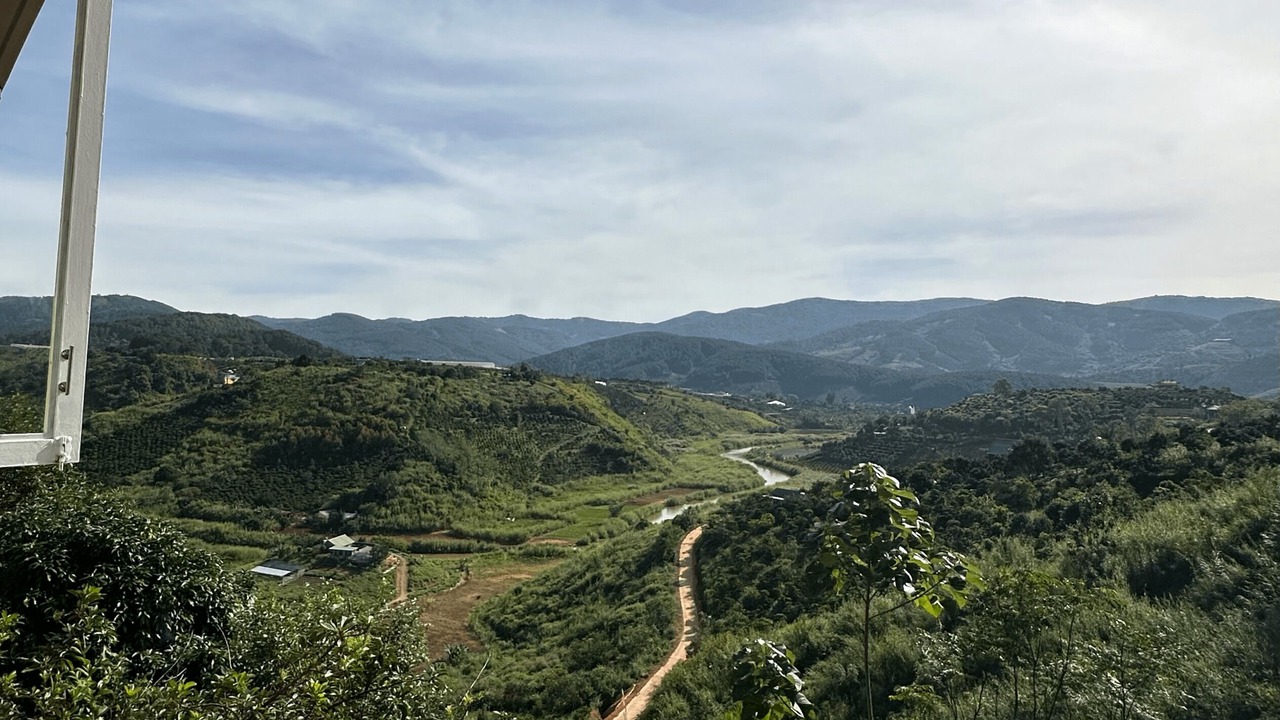 Photo of Others in Lam Ha