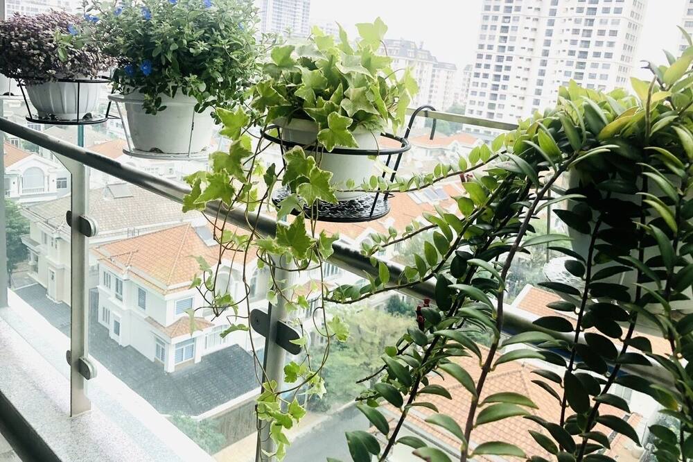 Photo of Outdoor in District 8