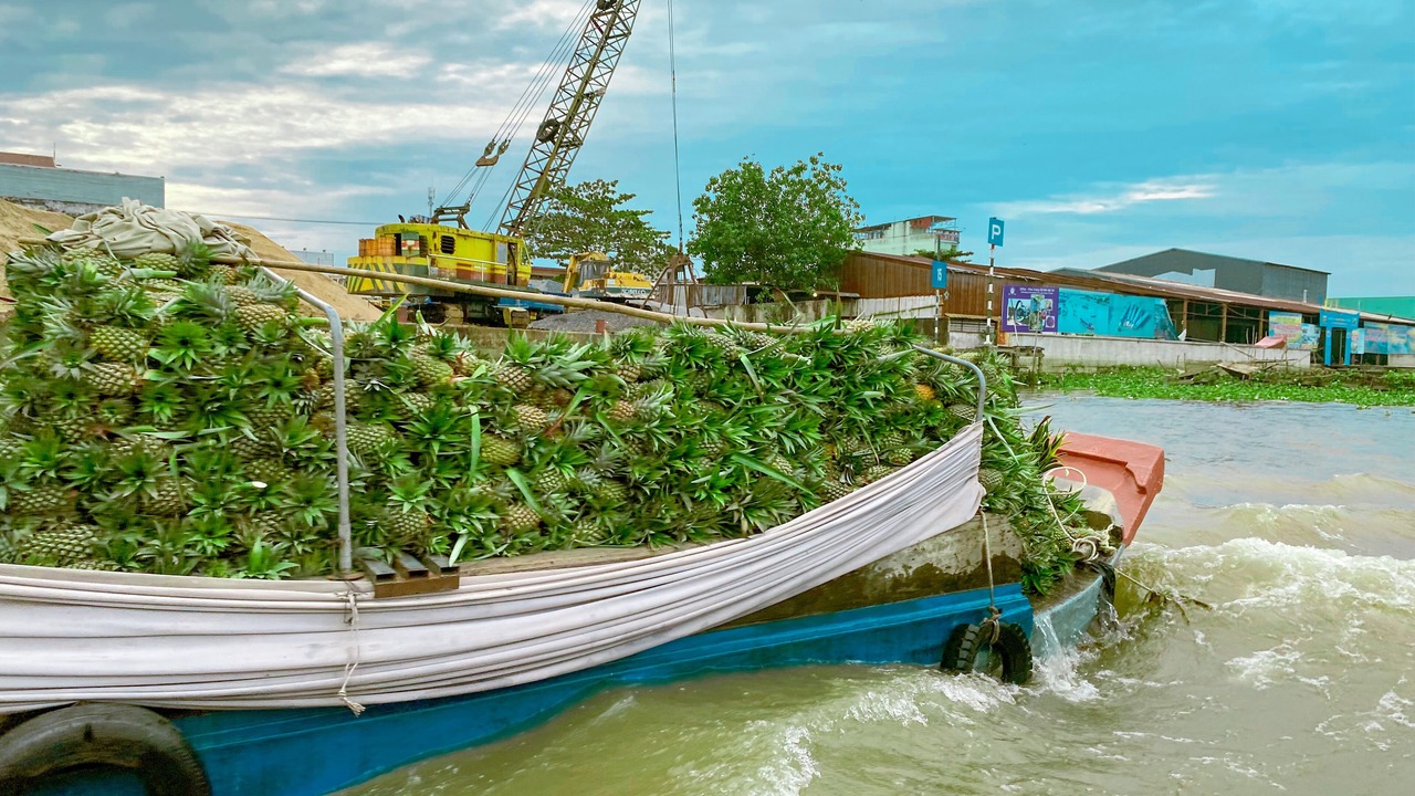 Photo of Others in Ninh Kieu