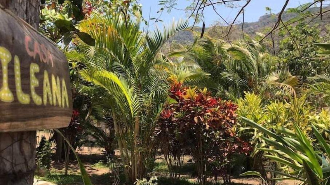 Photo of Outdoor in Puerto Vallarta