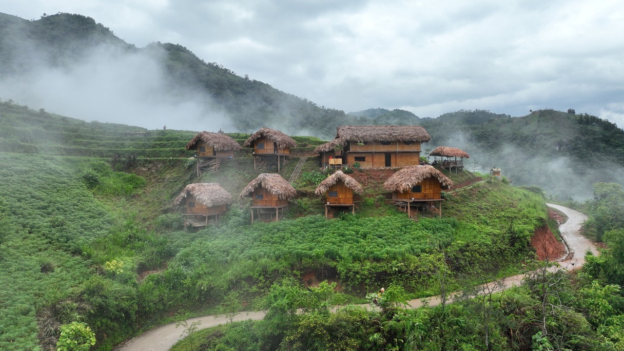 Photo of Outdoor in Thong Nguyen