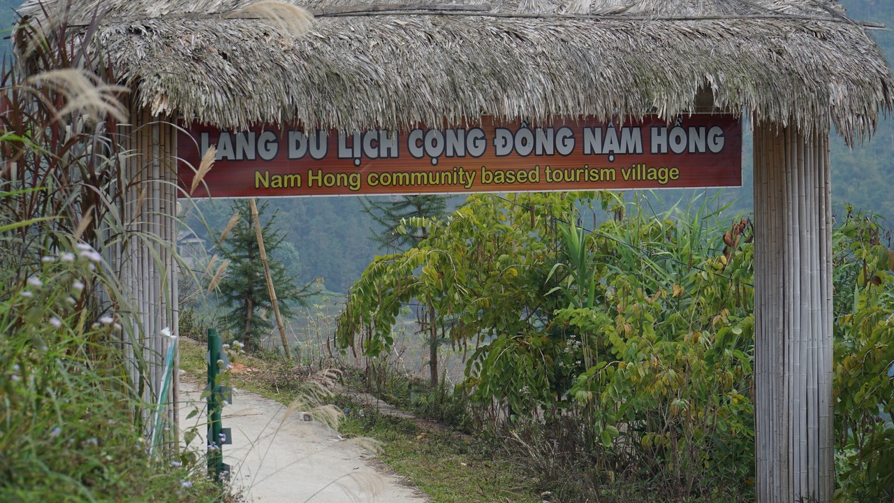 Photo of Outdoor in Thong Nguyen
