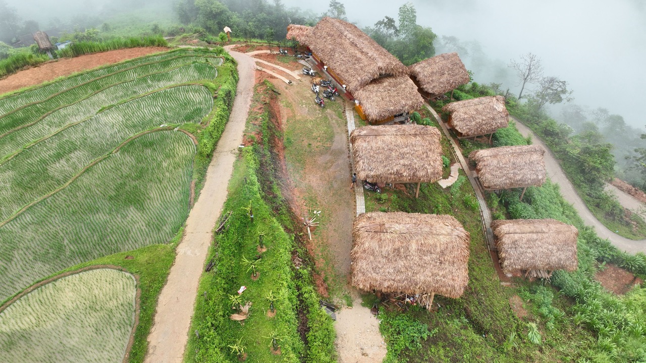 Photo of Outdoor in Thong Nguyen
