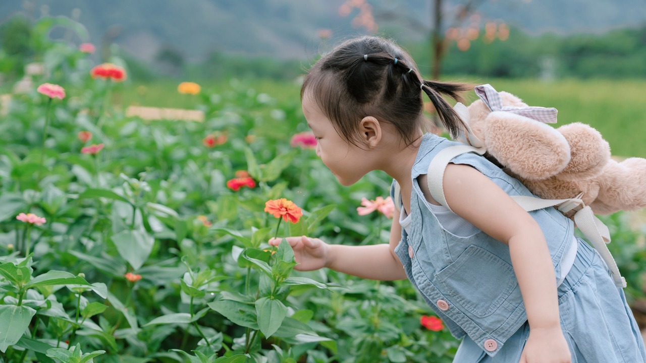 Photo of Outdoor in Pu Long Nature Reserve