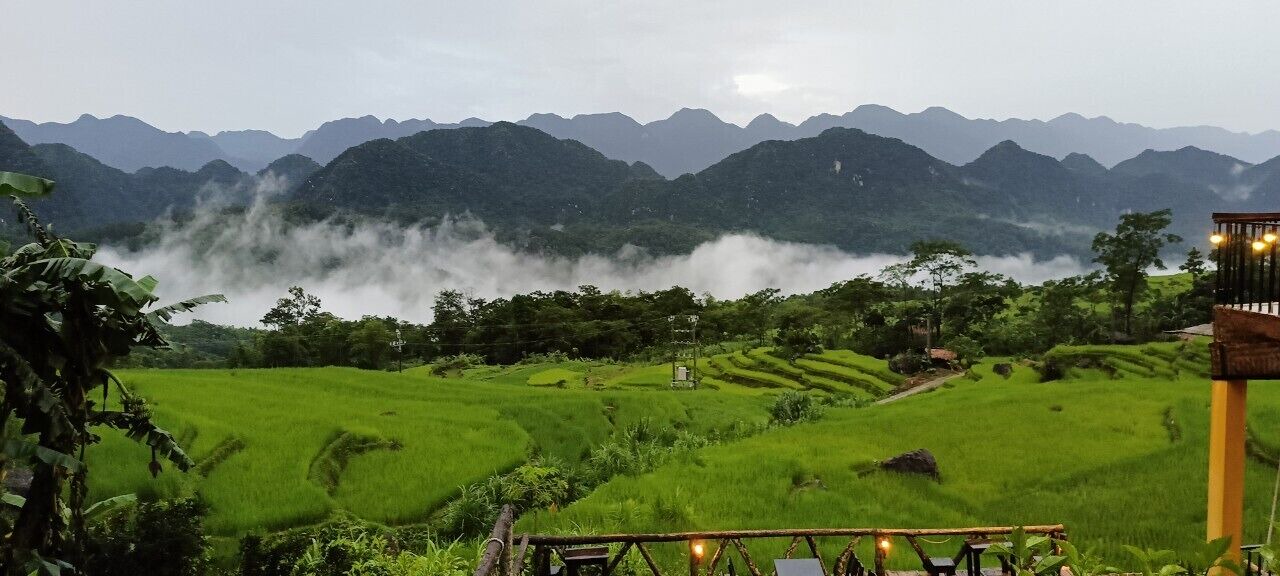 Photo of Others in Pu Long Nature Reserve