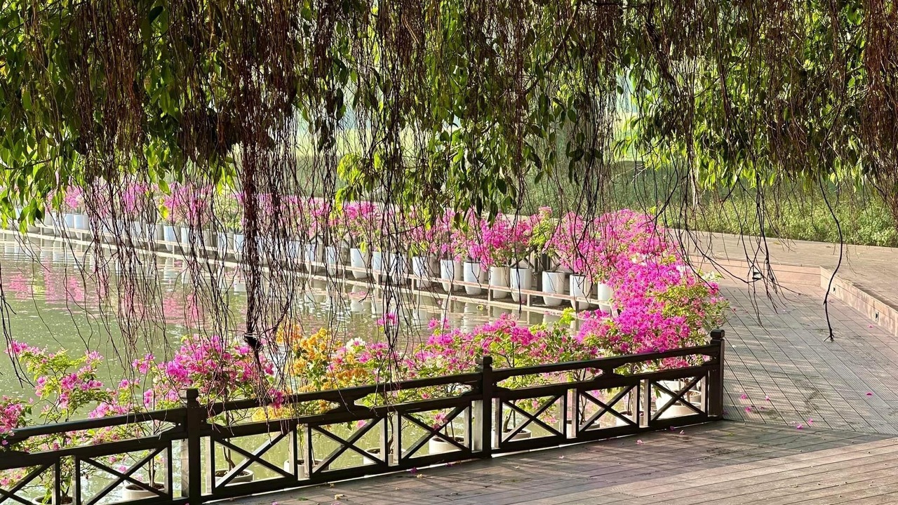 Photo of Outdoor in Van Giang