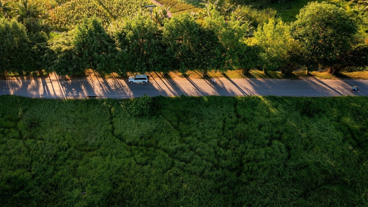 Photo of Outdoor in Van Giang
